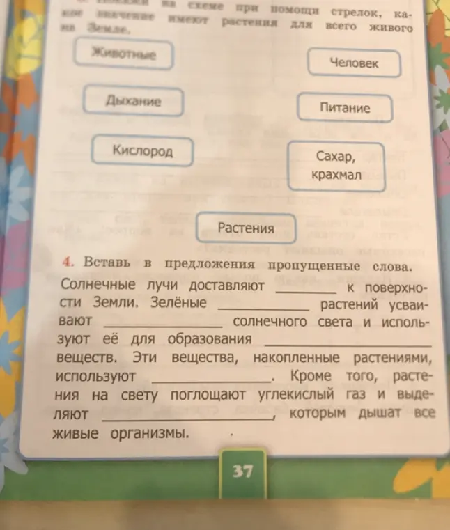 Вставь в предложения пропущенные слова.