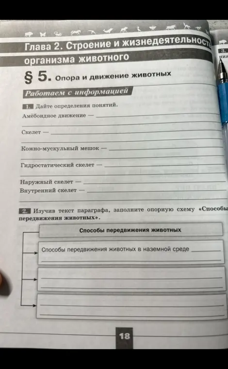 Дай определения понятий: Амёбоидное движение, Скелет, Кожно-мускульный мешок, Гидростатический скелет, Наружный скелет, Внутренний скелет. Заполни опорную схему «Способы передвижения животных».