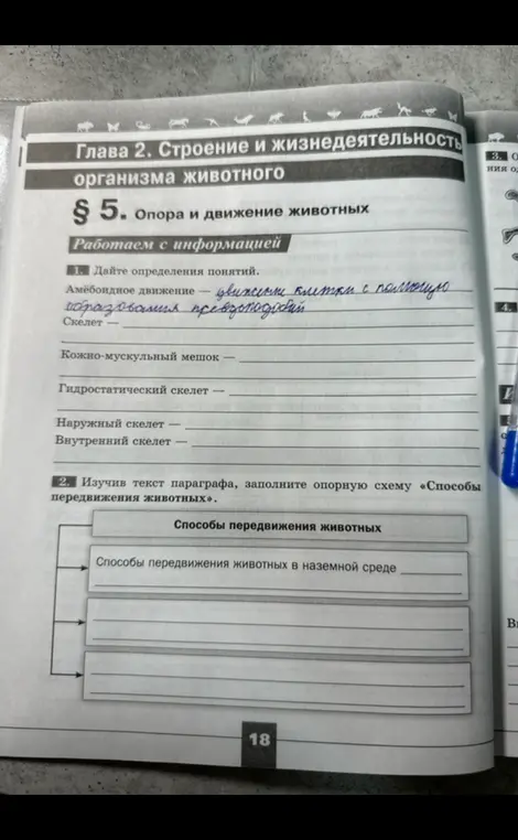 Дай определения понятий: Амёбоидное движение, скелет, кожно-мускульный мешок, гидростатический скелет, наружный скелет, внутренний скелет. Изучив текст параграфа, заполни опорную схему «Способы передвижения животных»