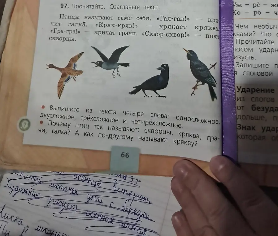 Выпиши из текста четыре слова: односложное, двусложное, трёхсложное и четырёхсложное.