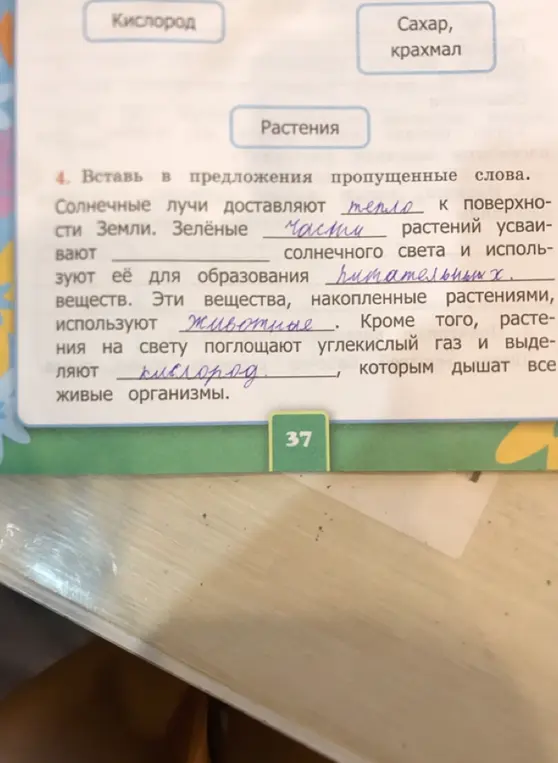 Вставь в предложения пропущенные слова.