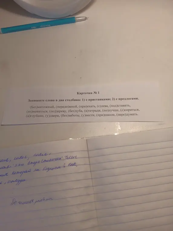Раздели слова на два столбика: с приставками и с предлогами.