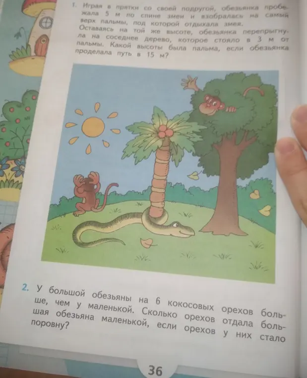 Реши задачу про обезьянку и пальму, и про кокосовые орехи.