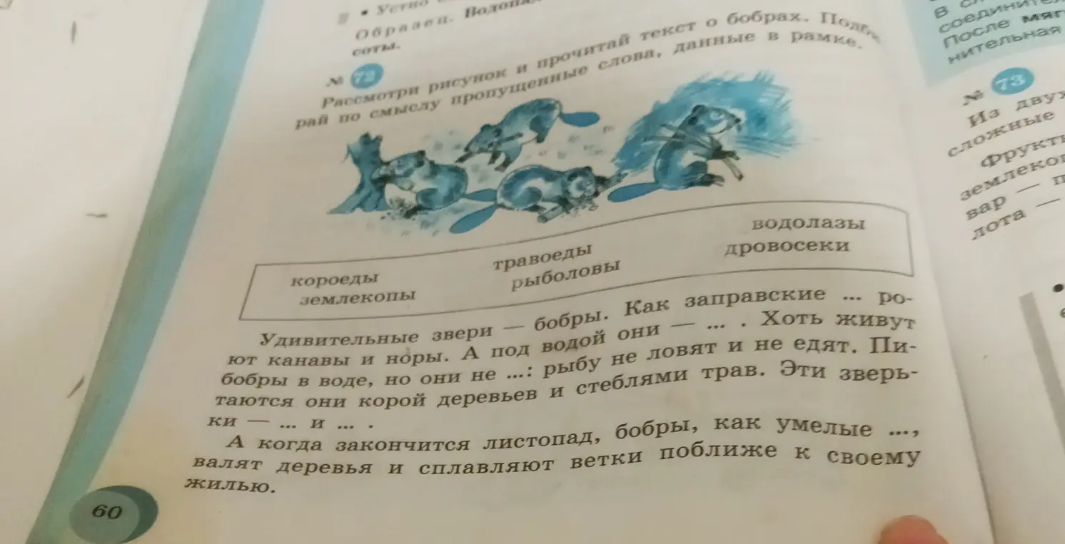 Вставь пропущенные слова, данные в рамке, в текст про бобра