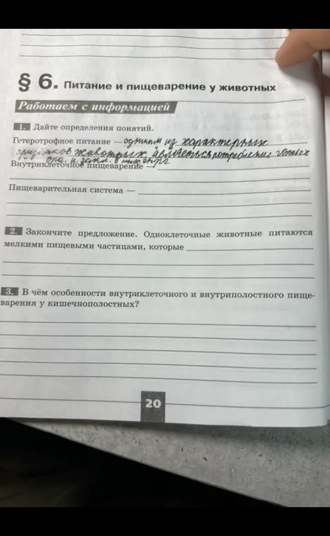 Дай определения понятий: гетеротрофное питание, внутриклеточное пищеварение. Закончи предложение про одноклеточных животных. Объясни особенности внутриклеточного и внутриполостного пищеварения у кишечнополостных.