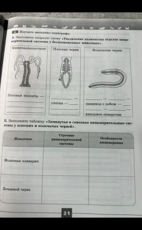 Заполни схему увеличения количества отделов пищеварительной системы у беспозвоночных животных и таблицу замкнутой и сквозной пищеварительной системы у плоских и кольчатых червей.