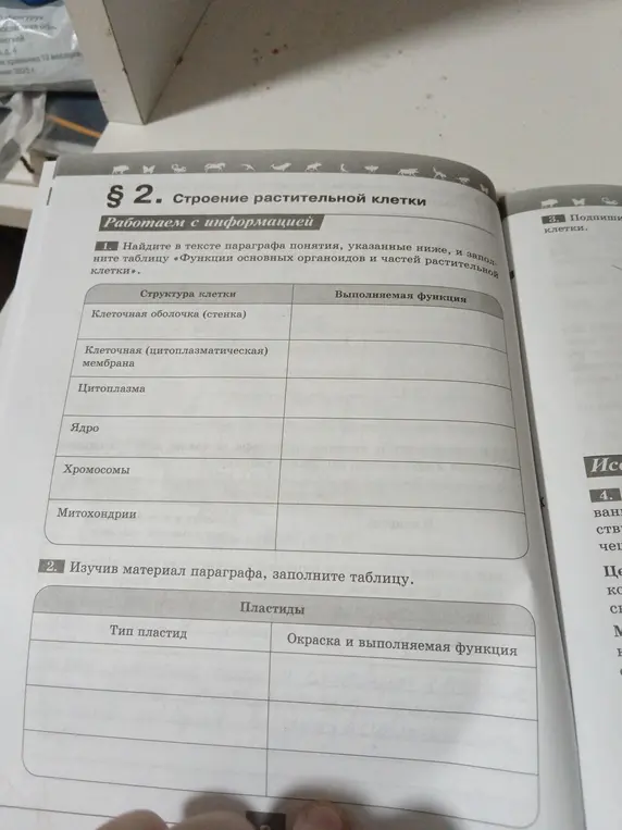 Найди в тексте параграфа понятия, указанные ниже, и заполни таблицу «Функции основных органоидов и частей растительной клетки». Изучи материал параграфа, заполни таблицу.