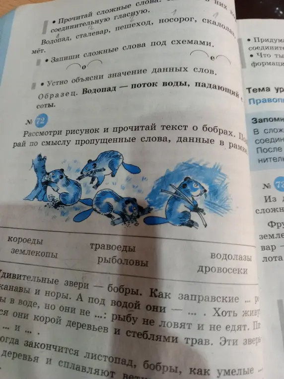Рассмотри рисунок и прочитай текст о бобрах. Подбери по смыслу пропущенные слова, данные в рамке.