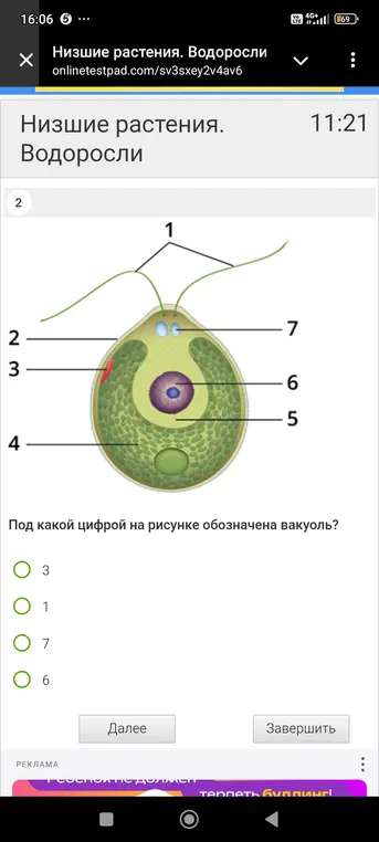 Определи, под какой цифрой на рисунке обозначена вакуоль.