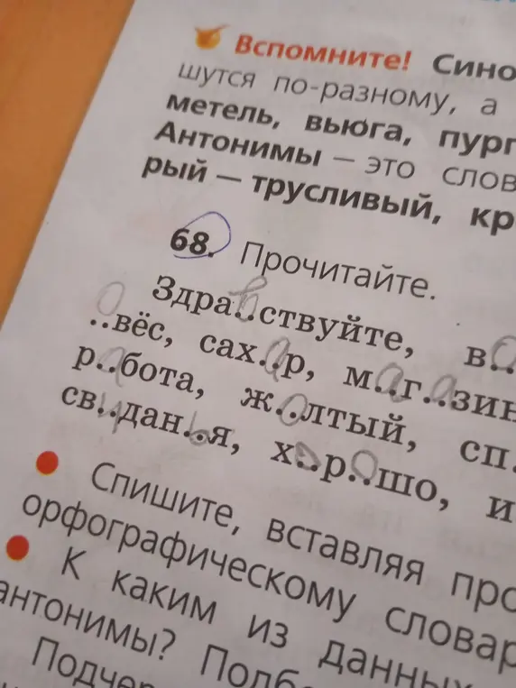 Прочитай слова с пропусками и вставь пропущенные буквы.