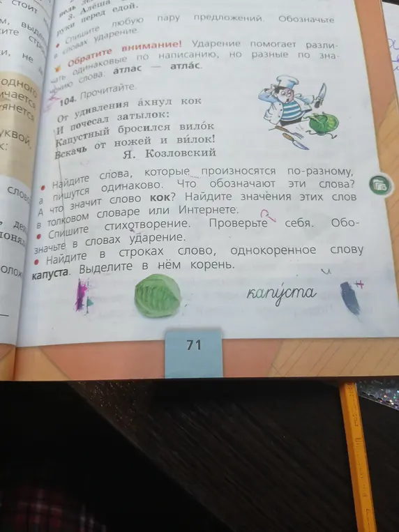 Найди слова, которые произносятся по-разному, но пишутся одинаково; что значит слово кок; найди однокоренное слово к слову капуста.