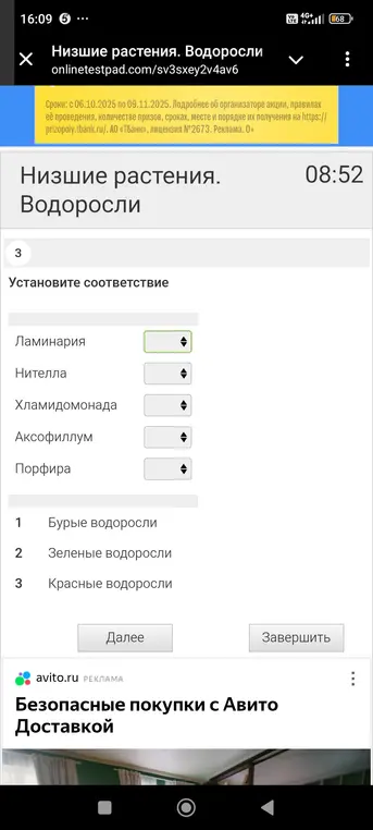 Установи соответствие между водорослями и их типами.