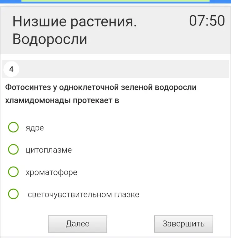 Определи, в каком органоиде одноклеточной зелёной водоросли хламидомонады протекает фотосинтез
