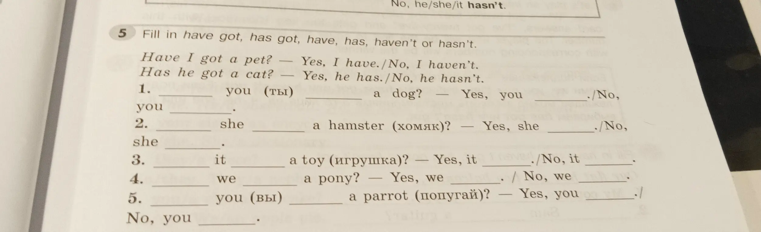 Заполни пропуски словами have got, has got, have, has, haven't или hasn't.
