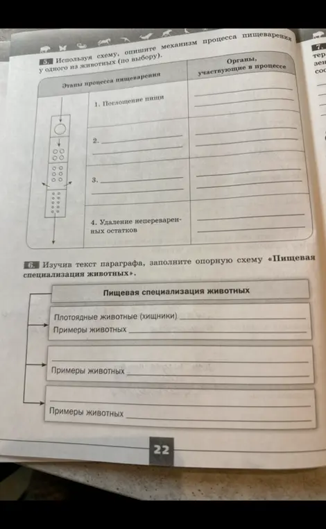 Используя схему, опиши механизм процесса пищеварения у одного из животных и заполни опорную схему «Пищевая специализация животных».