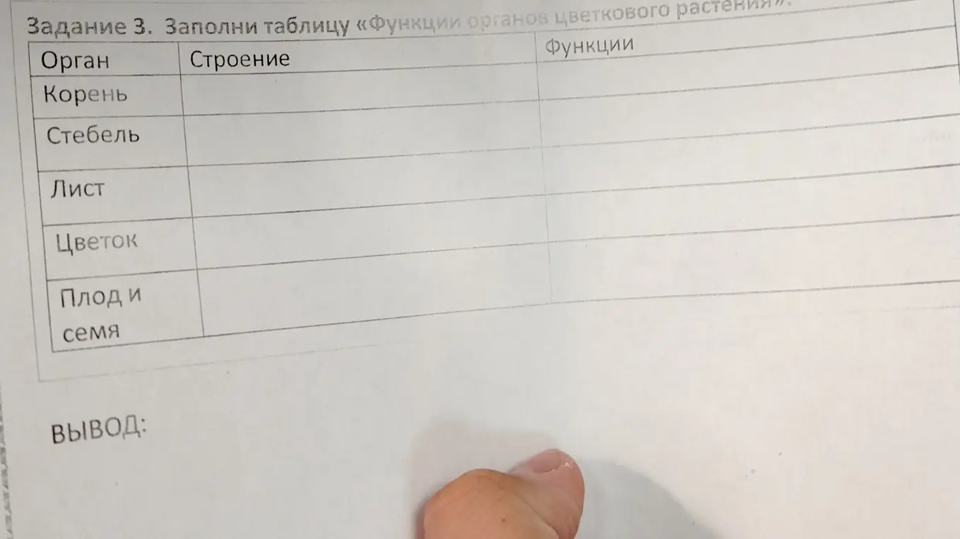 Заполни таблицу «Функции органов цветкового растения»