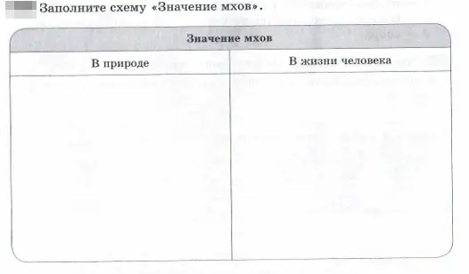 Заполни схему «Значение мхов».