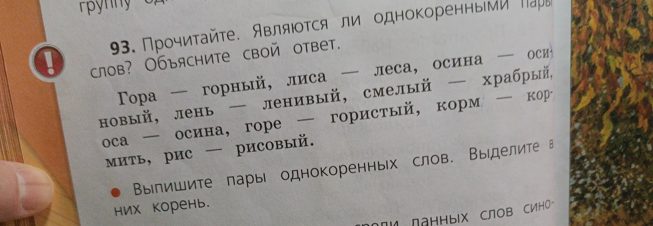 Определи, являются ли пары слов однокоренными и объясни свой ответ: Гора – горный, лиса – леса, осина – оси, новый, лень – ленивый, смелый – храбрый, оса – осина, горе – гористый, корм – кормить, рис – рисовый.