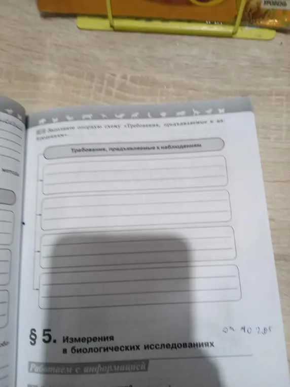 Заполни схему «Требования, предъявляемые к наблюдениям»