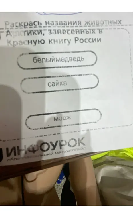 Раскрась названия животных, занесённых в Красную книгу России
