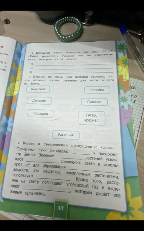 Прочитай текст, раздели его на части, озаглавь и запиши. Покажи на схеме значение растений для живого. Вставь пропущенные слова в предложения.