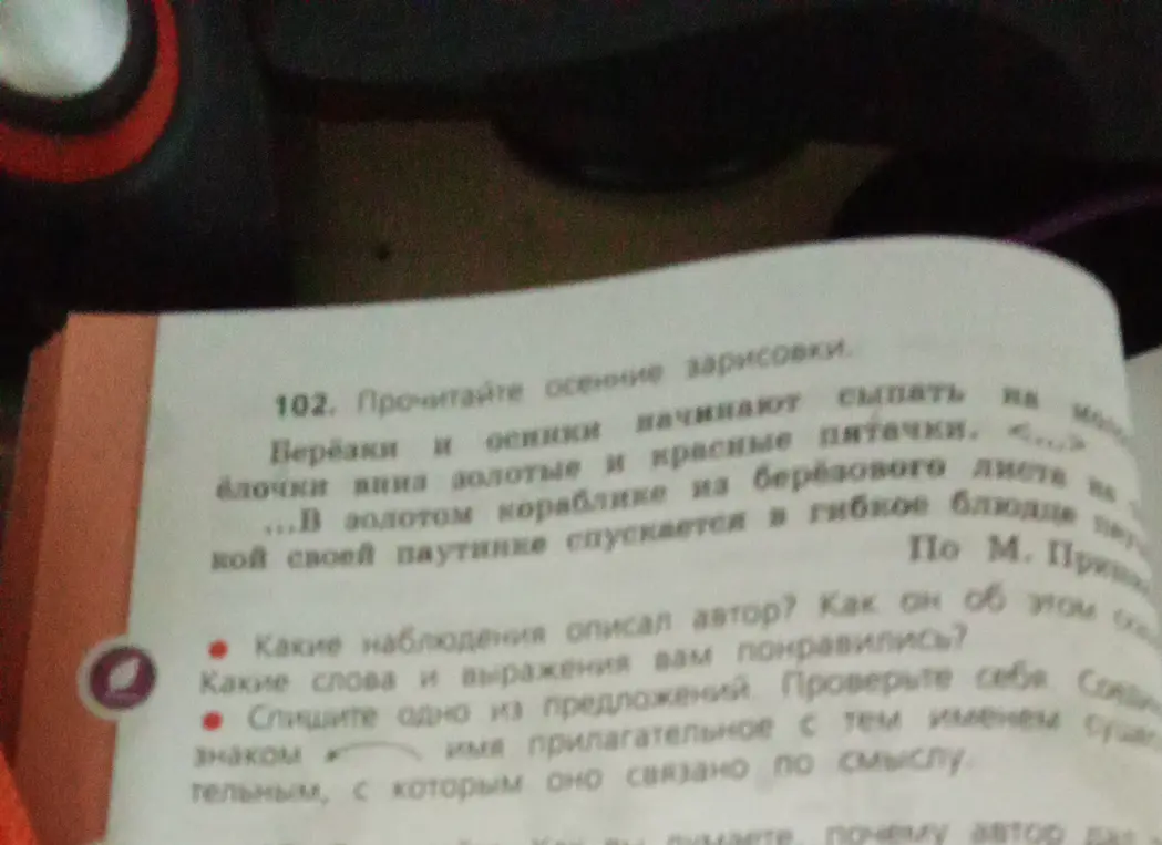 Ответь на вопросы по тексту об осенних зарисовках.
