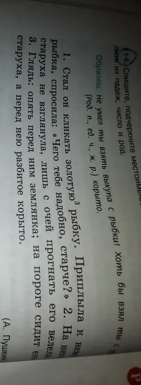 Спиши текст, подчеркни местоимения и определи их падеж, число и род.