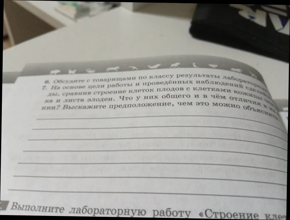 На основе цели работы и проведённых наблюдений, сделай выводы, сравнив строение клеток плодов с клетками кожицы чешуи лука и листа элодеи. Что у них общего и в чём отличия в их строении?