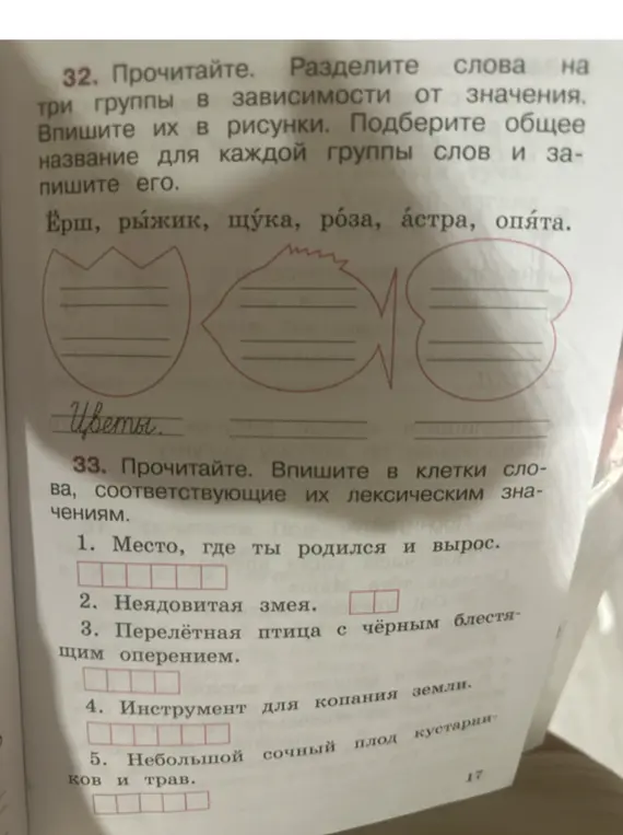 Раздели слова на три группы в зависимости от значения и впиши их в рисунки. Подбери общее название для каждой группы слов. Впиши в клетки слова, соответствующие их лексическим значениям.