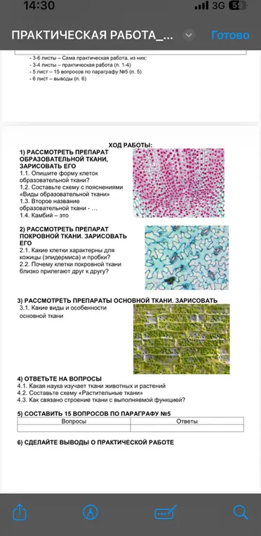 Ответь на вопросы по практической работе.