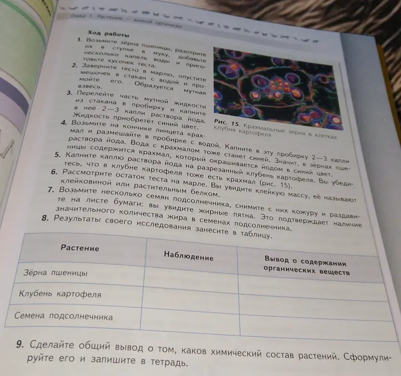 Заполни таблицу результатов исследования растений.