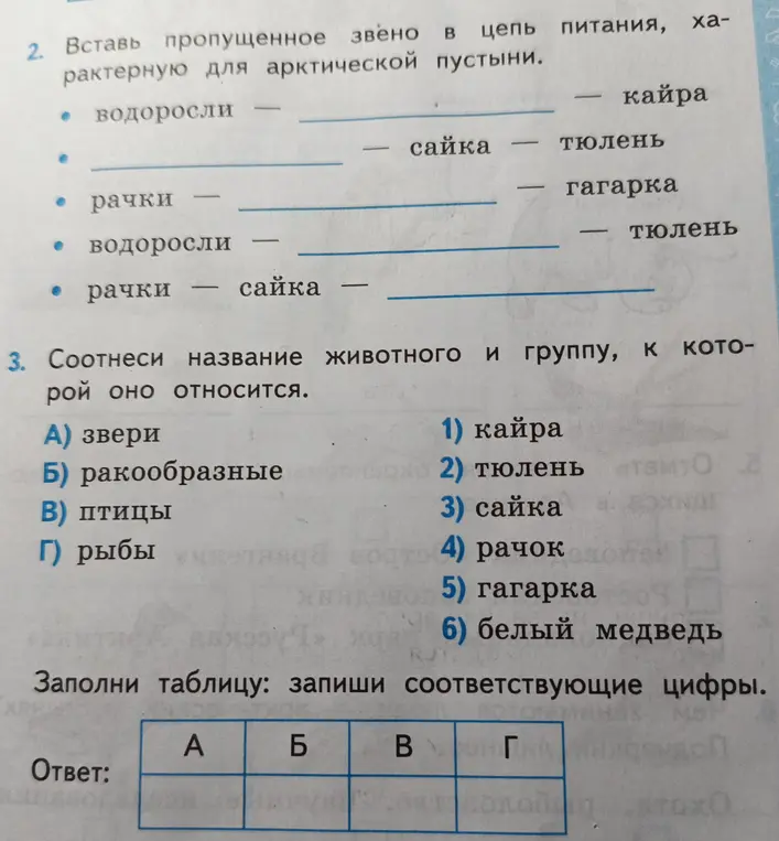 Вставь пропущенное звено в цепь питания, характерную для арктической пустыни и соотнеси название животного и группу, к которой оно относится.