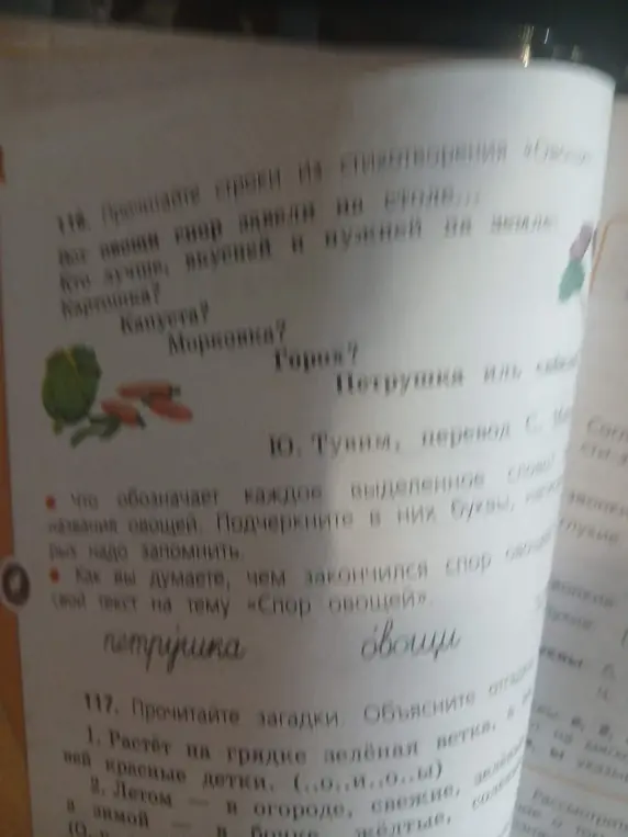 Прочитай строки из стихотворения «Овощи», что обозначает каждое выделенное слово и чем закончился спор овощей. Прочитай загадки и объясни отгадки.