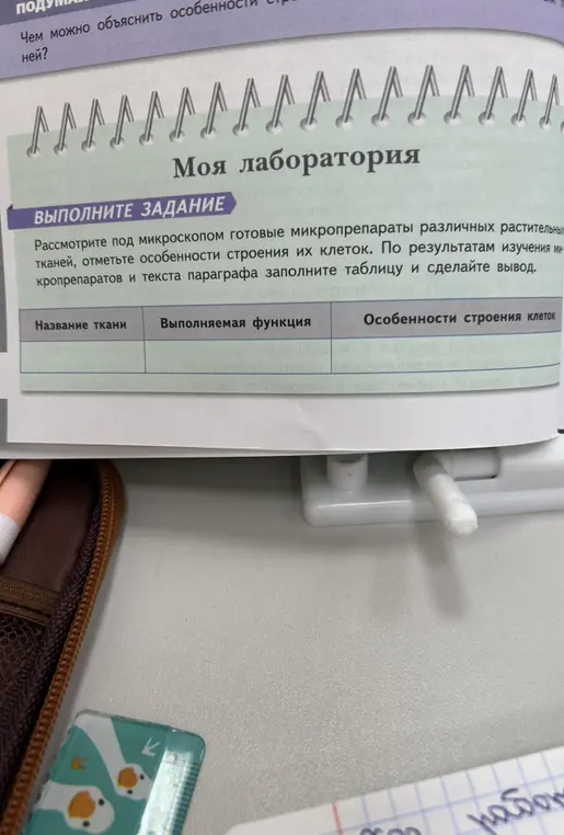 Заполни таблицу по микропрепаратам и тексту о тканях растений и сделай вывод.