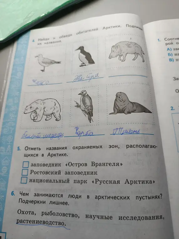 Найди и обведи обитателей Арктики, подпиши их названия. Отметь названия охраняемых зон, располагающихся в Арктике. Подчеркни лишнее.