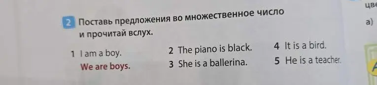 Поставь предложения во множественное число и прочитай вслух.