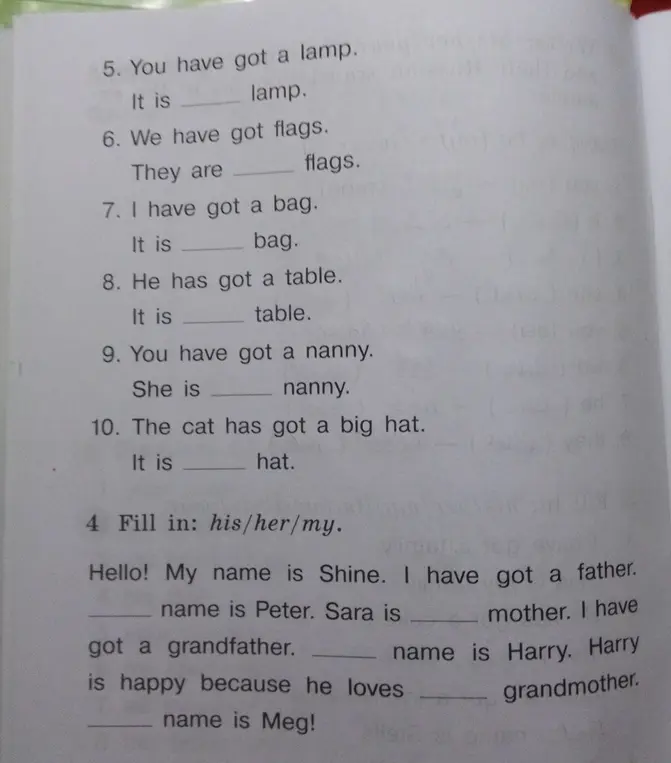 Заполни пропуски в предложениях словами his/her/my.