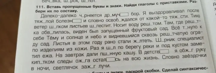 Вставь пропущенные буквы и знаки, найди глаголы с приставками и разбери их по составу.