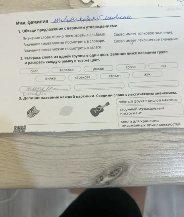 Обведи предложения с верными утверждениями, раскрась слова из одной группы в один цвет, допиши название каждой картинки.