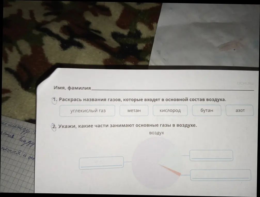 Раскрась названия газов, которые входят в основной состав воздуха.