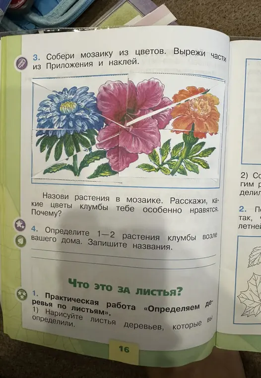 Собери мозаику из цветов, вырежи части из Приложения и наклей.