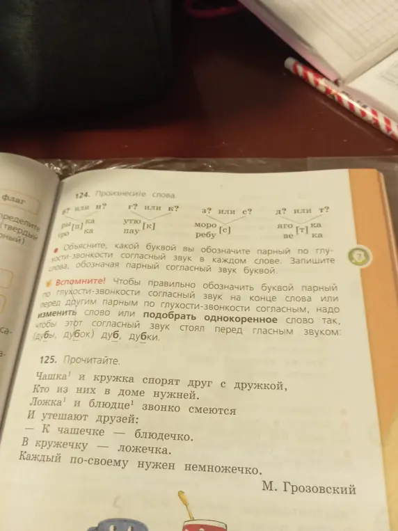 Объясни, какой буквой вы обозначите парный по глухости-звонкости согласный звук в каждом слове и прочитайте текст.