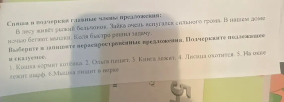 Спиши и подчеркни главные члены предложения, выбери и запиши нераспространённые предложения.