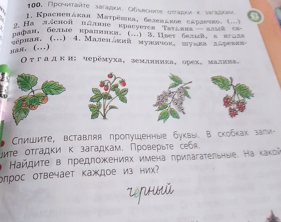 Отгадай загадки и найди имена прилагательные в предложениях.