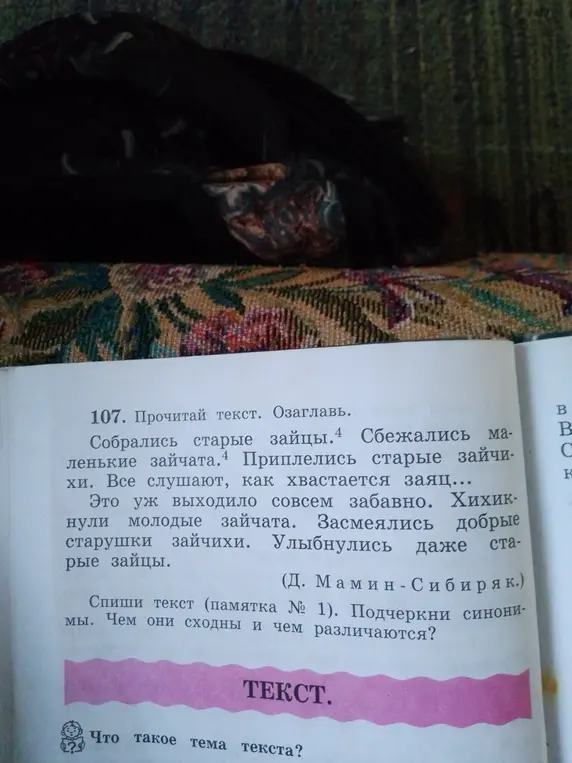 Прочитай текст, озаглавь его, спиши текст, подчеркни синонимы, определи тему текста.