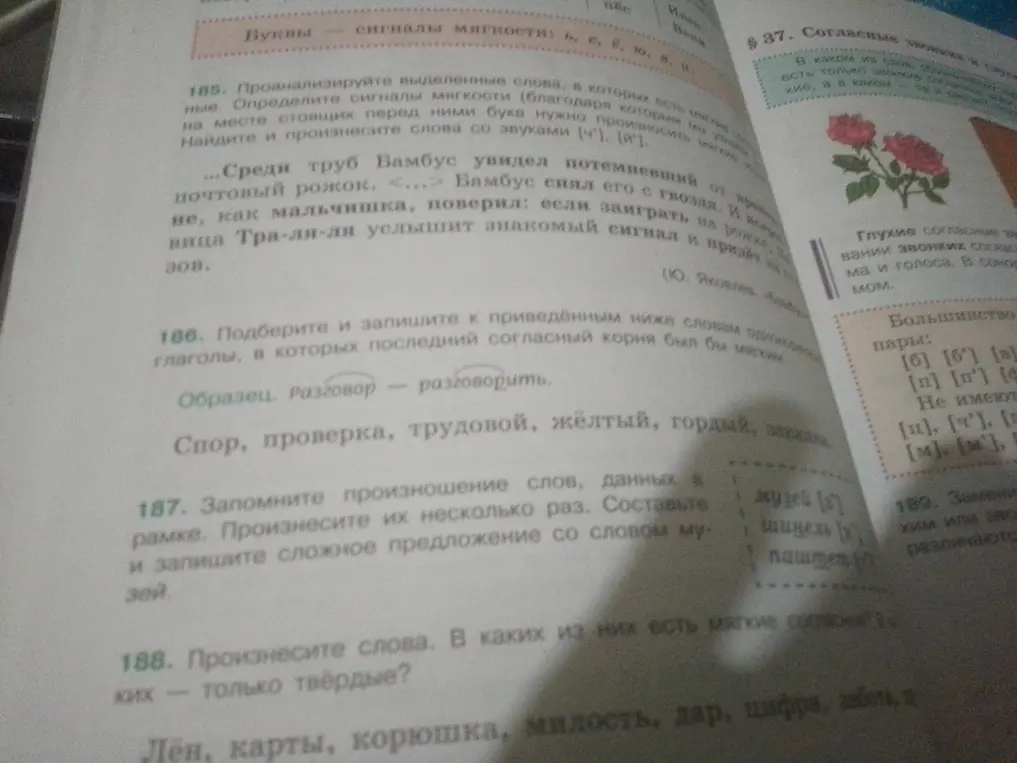 Подбери и запиши к приведённым ниже словам однокоренные глаголы, в которых последний согласный корня был бы мягким.