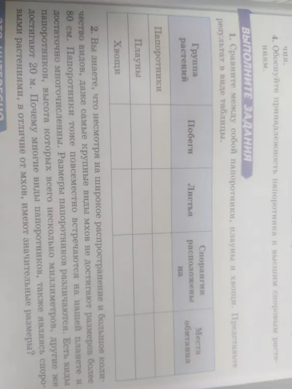 Сравни между собой папоротники, плауны и хвощи и представь результат в виде таблицы.