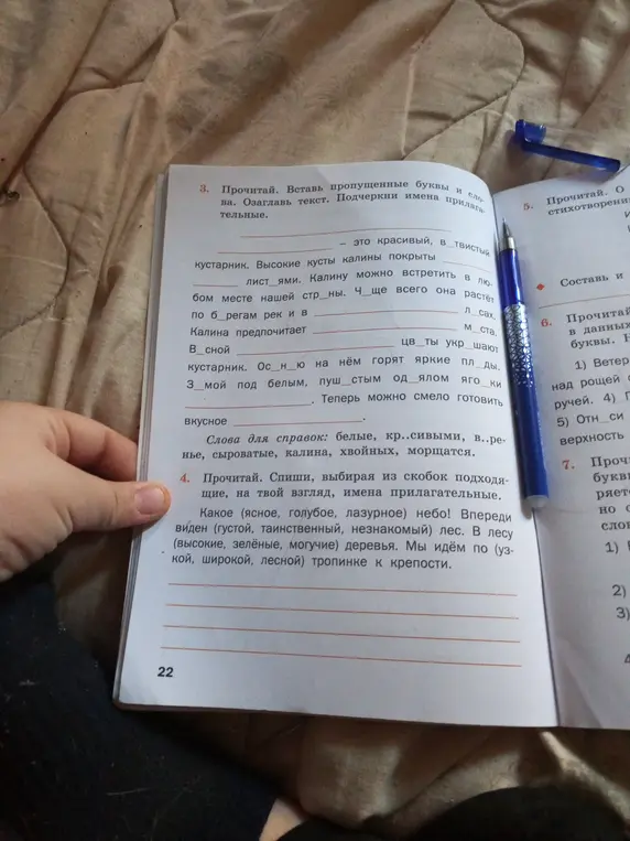 Вставь пропущенные буквы и слова, озаглавь текст и подчеркни имена прилагательные в тексте про калину; выбери подходящие имена прилагательные из скобок и спиши предложения.
