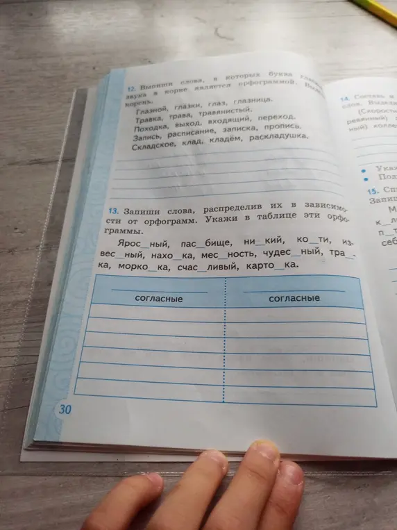 Запиши слова, распределив их в зависимости от орфограмм. Укажи в таблице эти орфограммы.