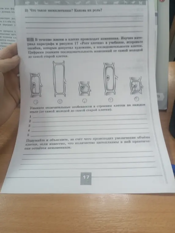 Ответь на вопросы: что такое межклетники, последовательность изменений клетки и за счёт чего происходит увеличение объёма клетки.